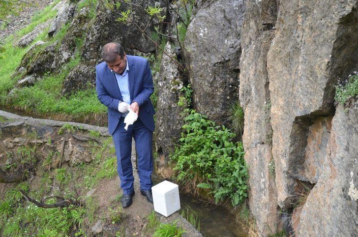 Şırnak’ta görülen ölü semenderler, araştırılmak üzere Ankara’ya gönderilecek G1