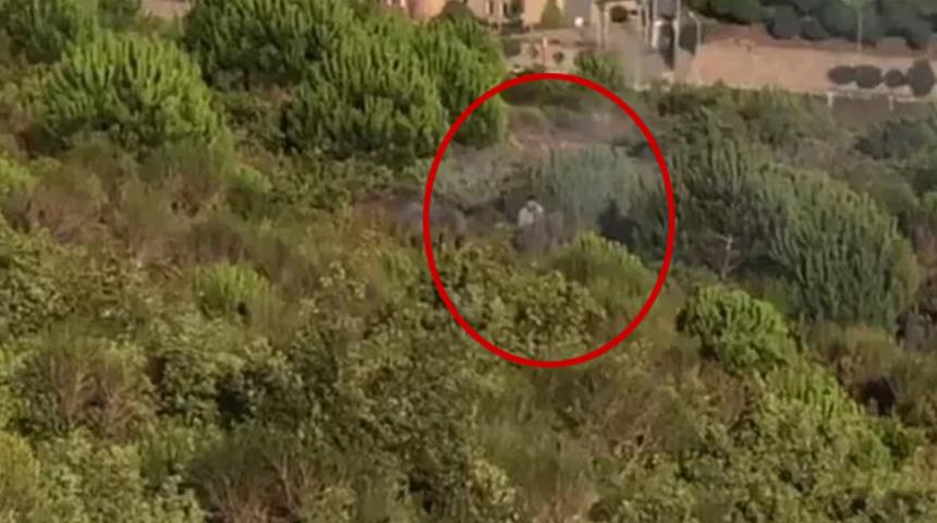 Aydos ormanındaki skandalda karar belli oldu!