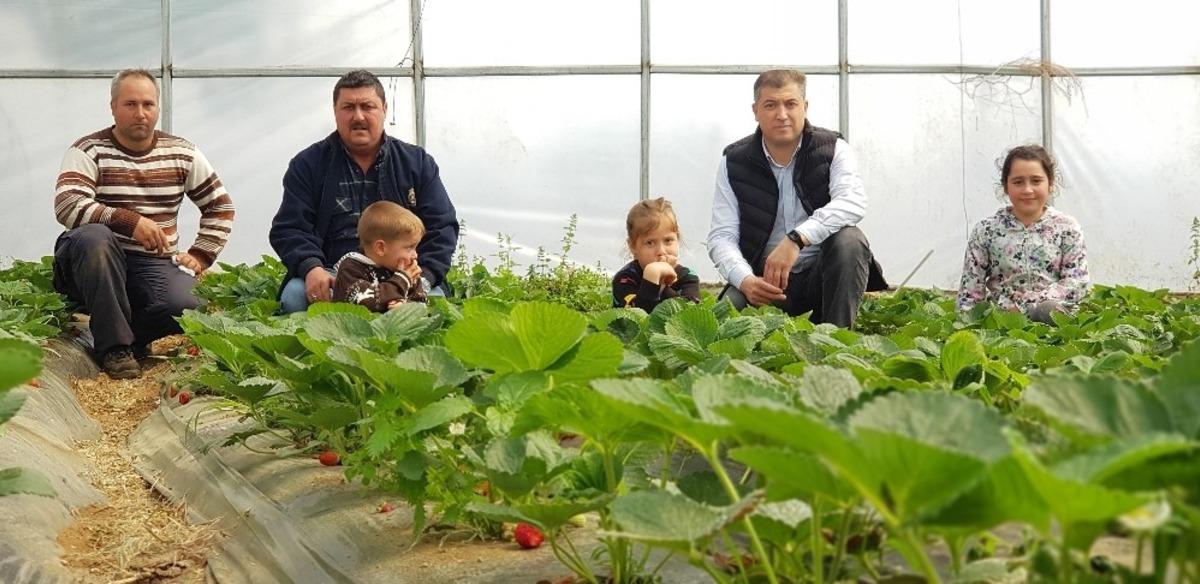 Bayrami&ccedil;&rsquo;te &ouml;rt&uuml; altı &ccedil;ilek hasadı başladı