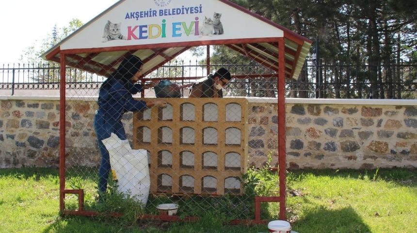 Akşehir&rsquo;de sokak hayvanları unutulmuyor