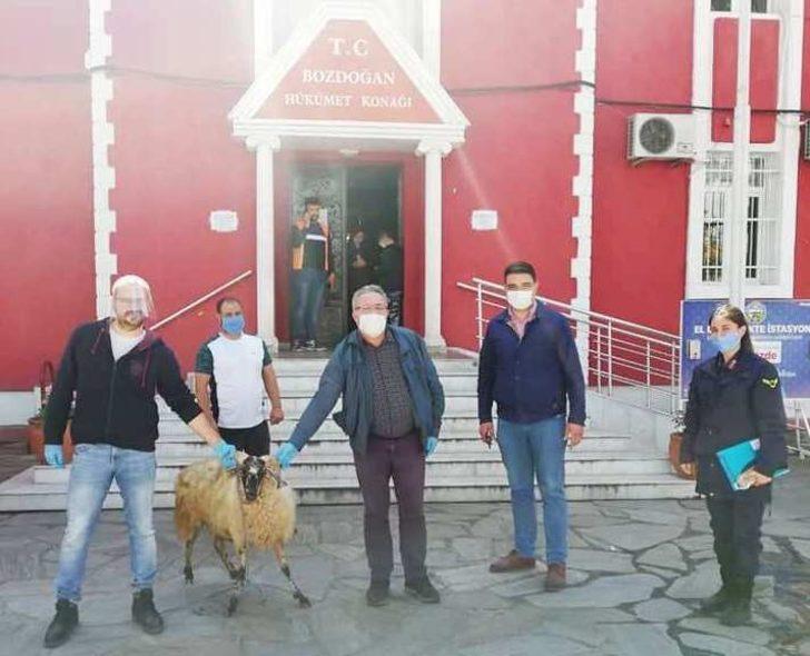 Şehit ailesi kampanyaya koyunlarını bağışladı G2