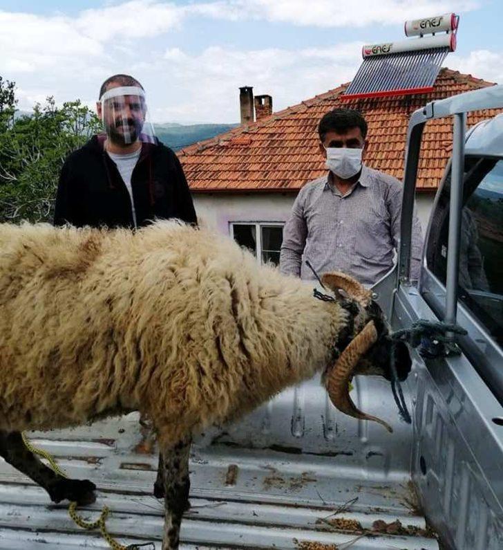 Şehit ailesi kampanyaya koyunlarını bağışladı G3