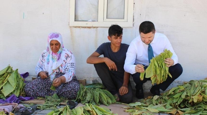 Milletvekili Toprak, t&uuml;t&uuml;n &uuml;reticilerine kolaylık diledi