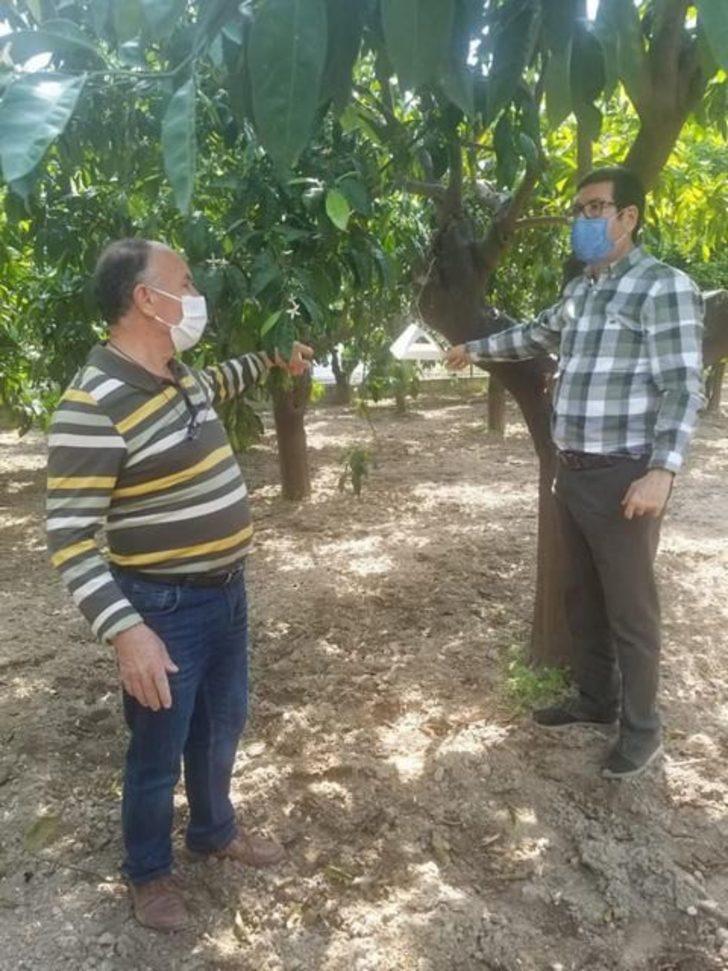 Barış Saylak, Ören Mahallesi’nde incelemelerde bulundu G2