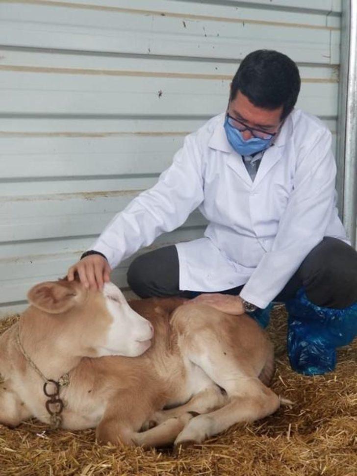 Barış Saylak, Ören Mahallesi’nde incelemelerde bulundu G3