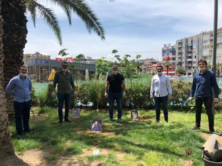 CHP’li gençler Deniz Gezmiş ve arkadaşları anısına 3 fidan dikti G1