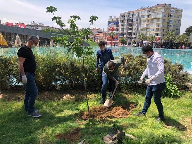 CHP’li gençler Deniz Gezmiş ve arkadaşları anısına 3 fidan dikti G2