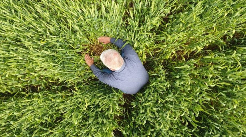 S&uuml;ne ile m&uuml;cadele başladı