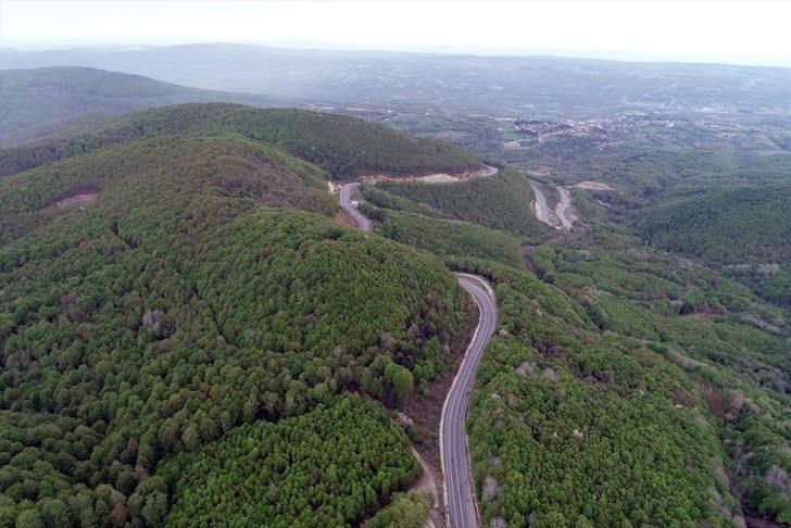İşte Kırklareli'nin longoz ormanları G1