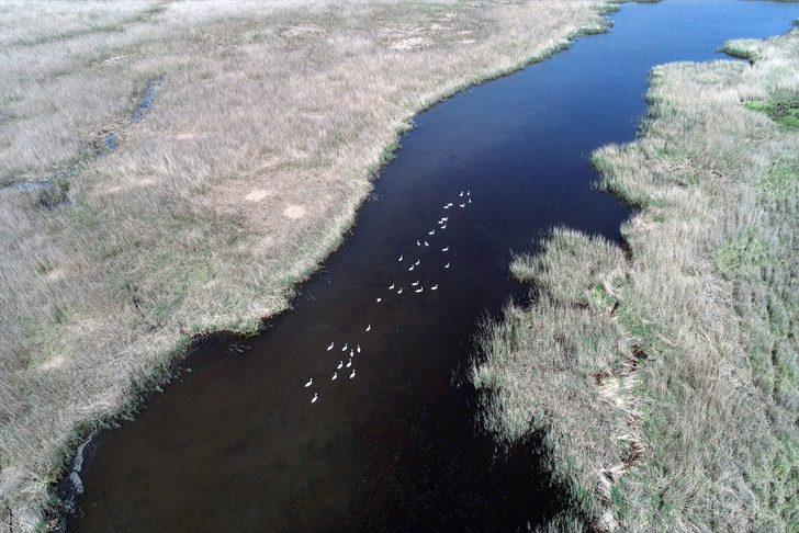 İşte Kırklareli'nin longoz ormanları G5