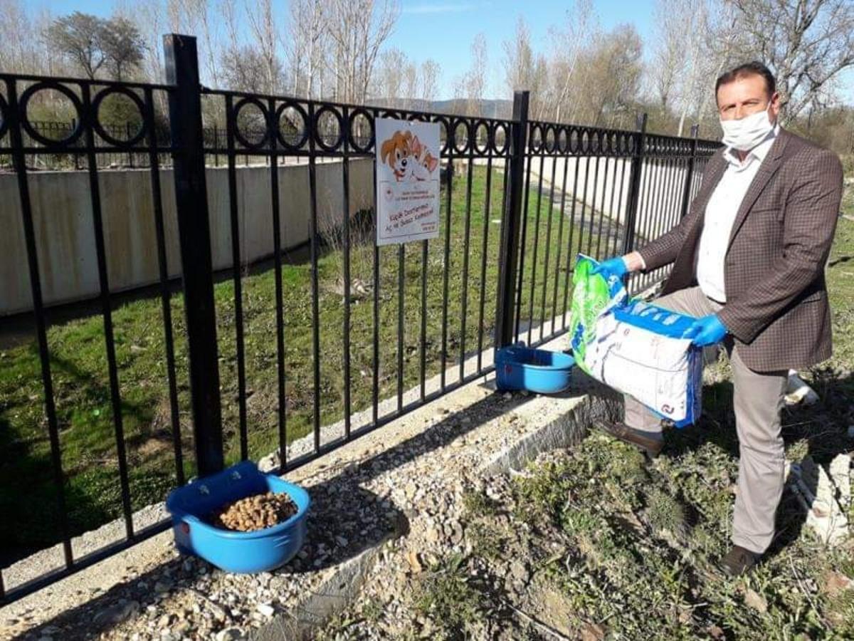 Daday&rsquo;da sokak hayvanları unutulmadı