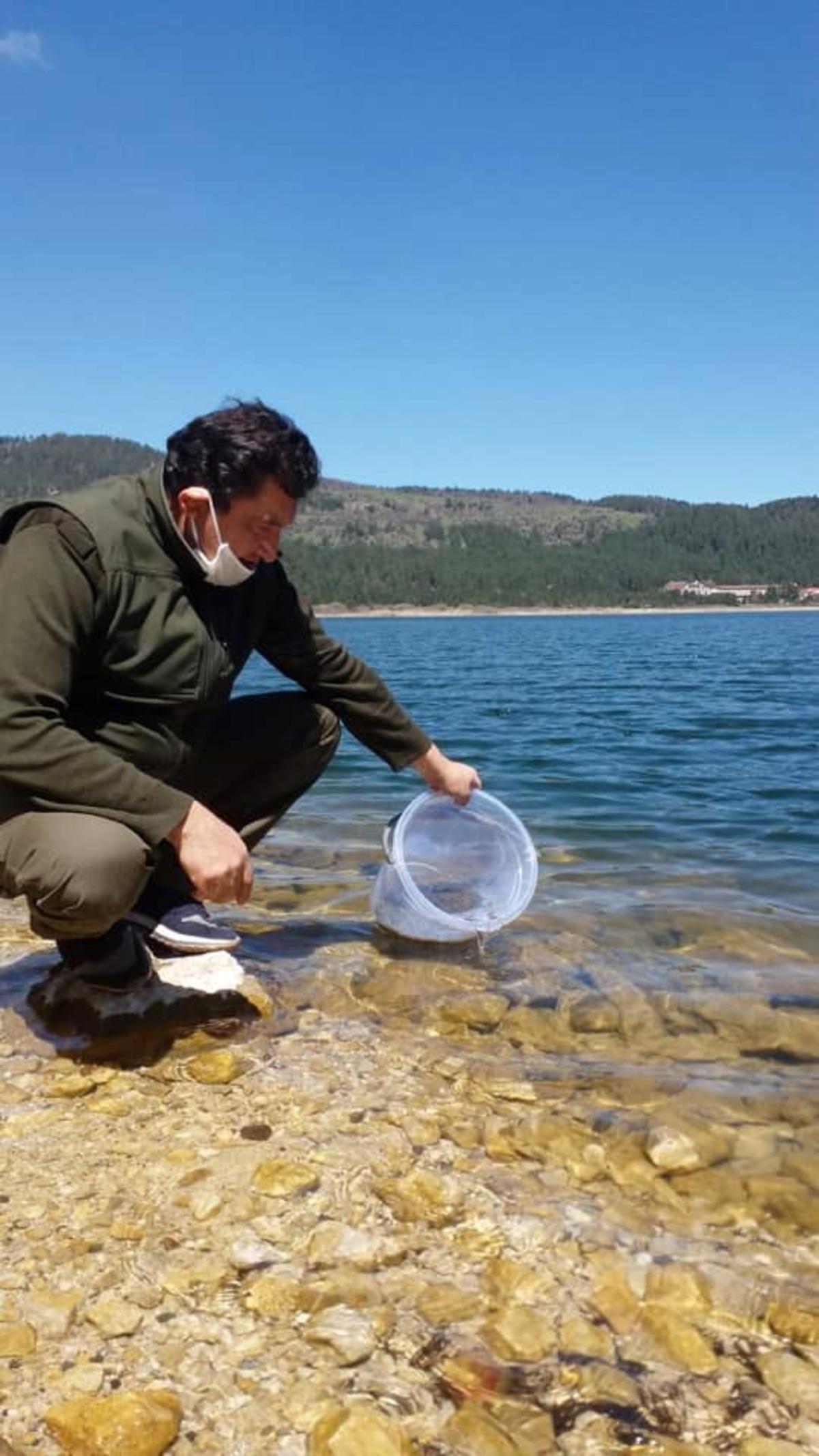 Bolu&rsquo;da g&ouml;l ve derelere 600 bin alabalık bırakıldı