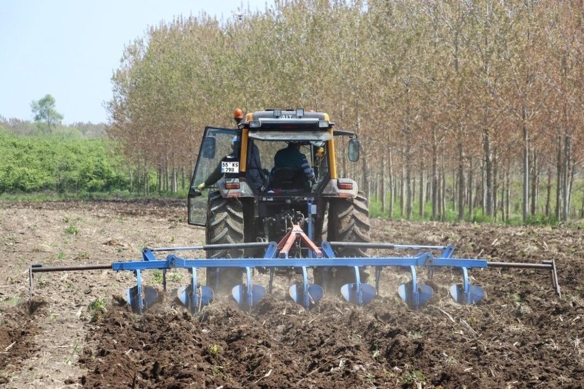 &Ccedil;ukurova&rsquo;da tanıştı, Samsun&rsquo;a getirdi