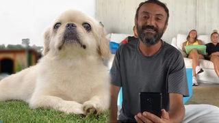 Survivor Ersin Korkut'tan köpeği Mes ile ilgili canlı yayında duygulandıran sözler