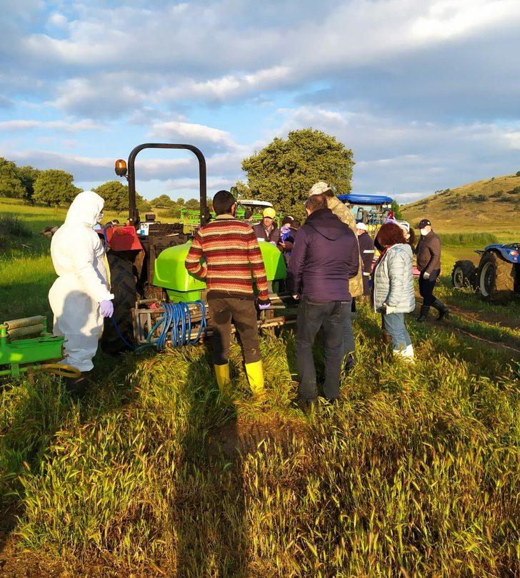 Çekirge istilası ile mücadeleye ilişkin önemli uyarı G2
