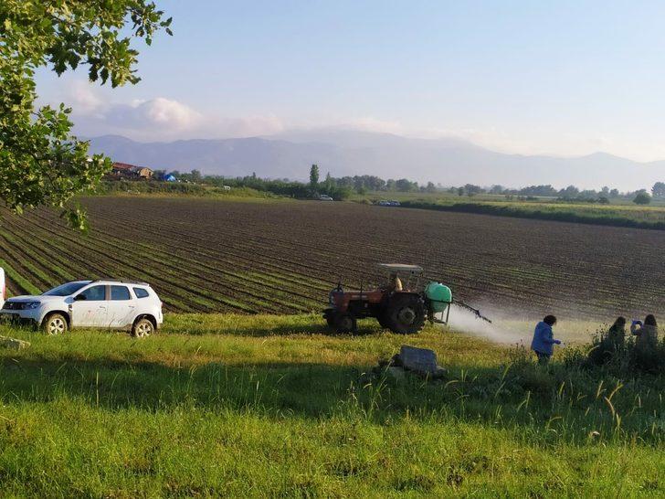 Çekirge istilası ile mücadeleye ilişkin önemli uyarı G5
