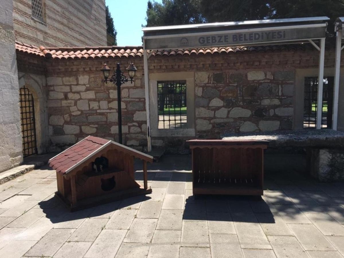 &Ccedil;oban Mustafa Paşa Camii bah&ccedil;esindeki yuvalar yenilendi