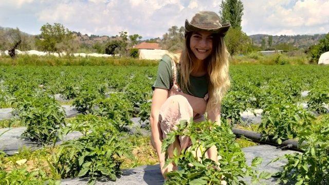 Büyükşehirden kaçıp döndüğü köyünde organik üretim yapıyor