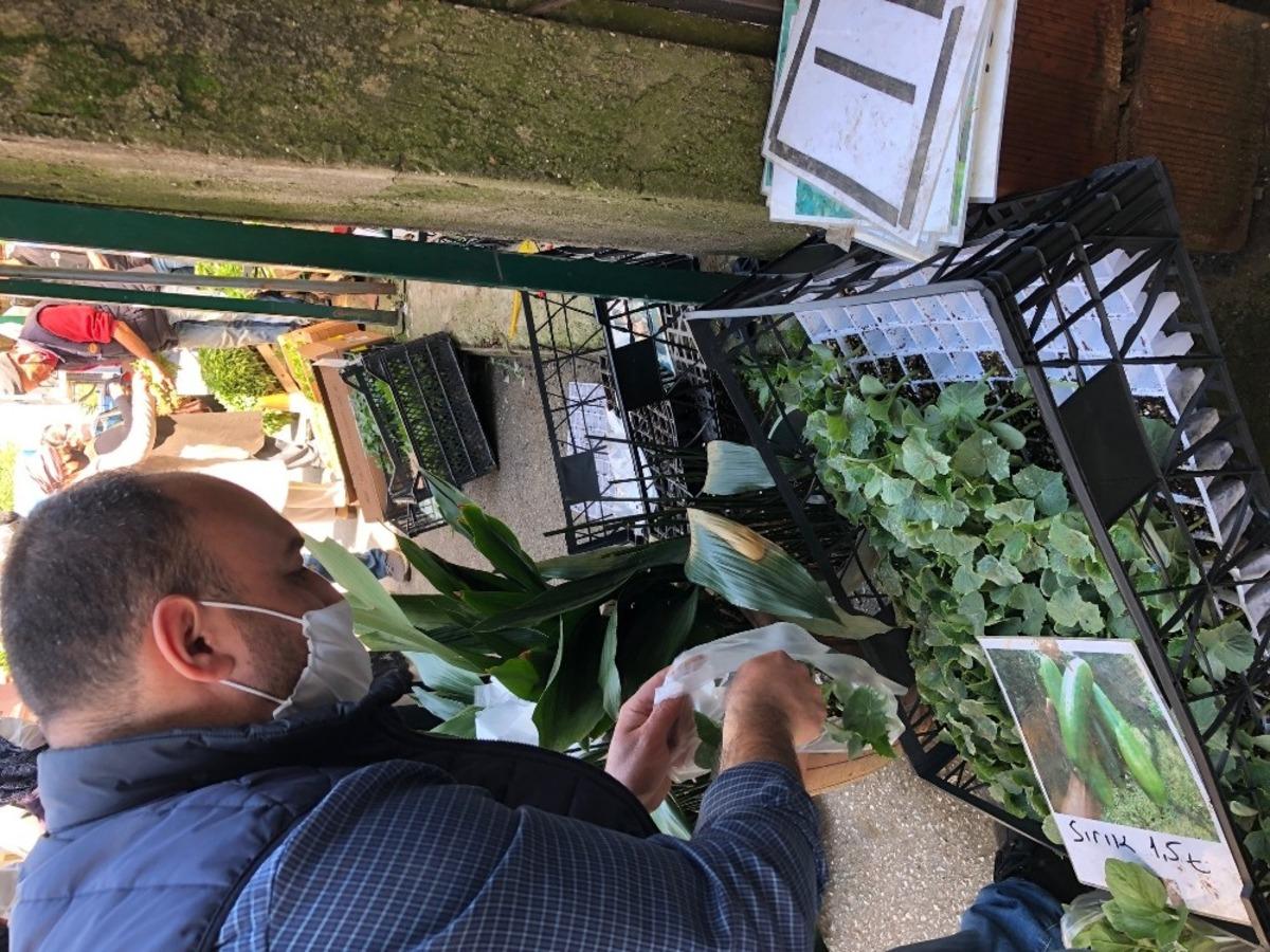 Sakarya&rsquo;da fideye talep arttı