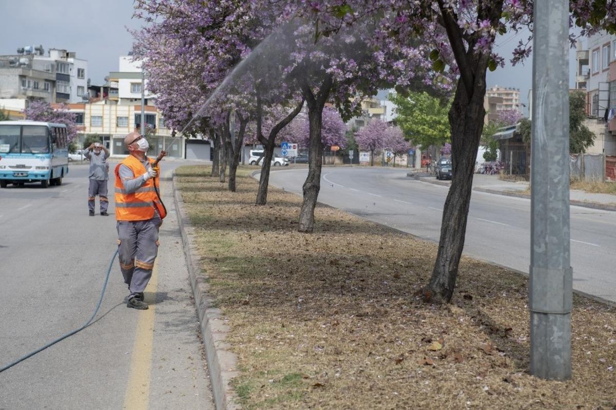 Mersin&rsquo;de haşere ile m&uuml;cadele &ccedil;alışmaları s&uuml;r&uuml;yor