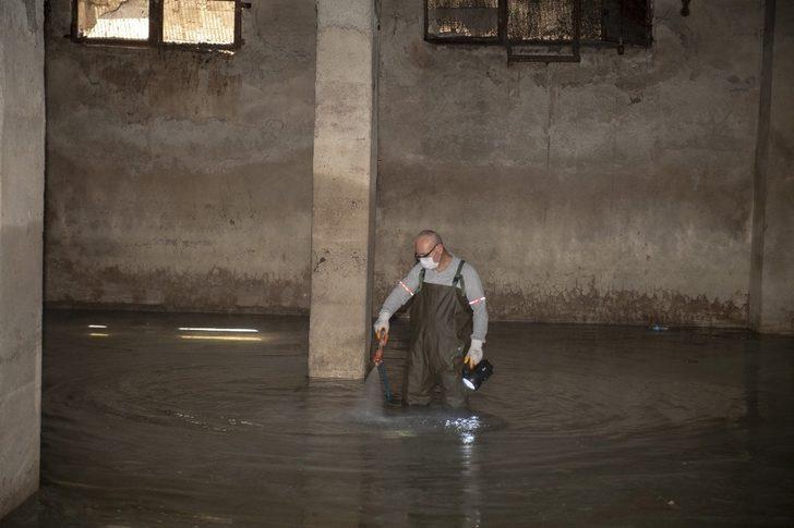 Mersin’de haşere ile mücadele çalışmaları sürüyor G3