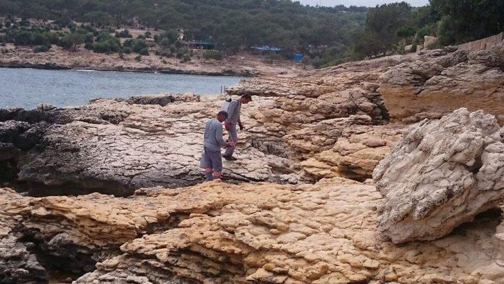 Mersin’de haşere ile mücadele çalışmaları sürüyor G4