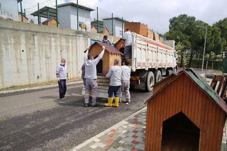 Sokak hayvanlarına modern barınak G3