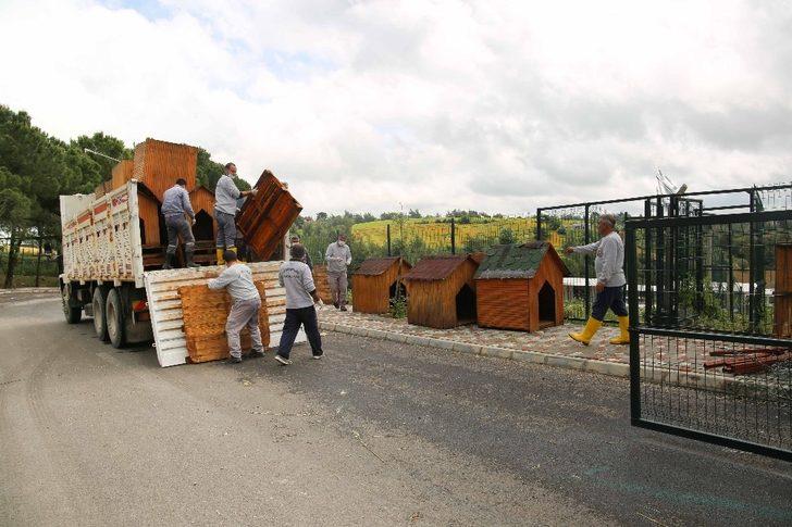 Sokak hayvanlarına modern barınak G4