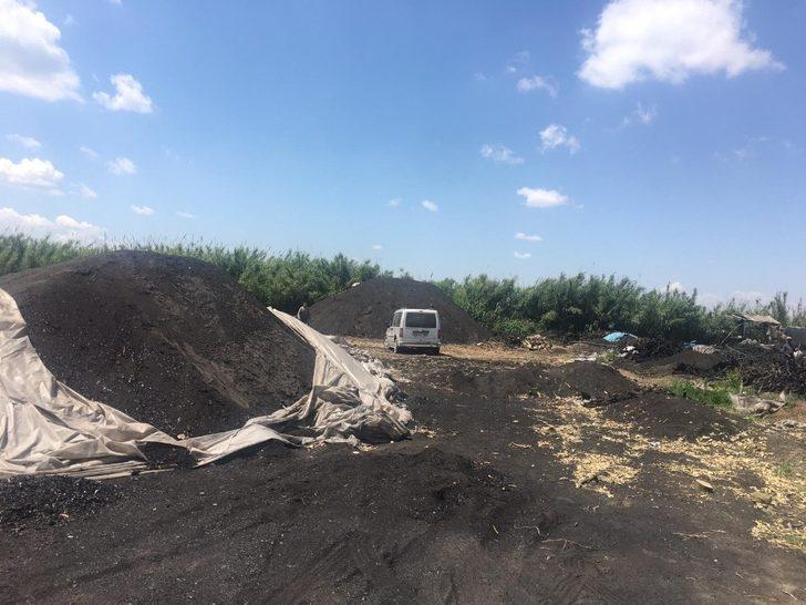 Adana’da ruhsatsız mangal kömürü üretimine son verildi G1