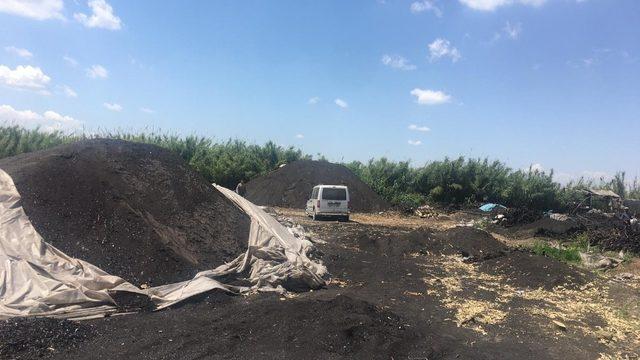 Adana’da ruhsatsız mangal kömürü üretimine son verildi