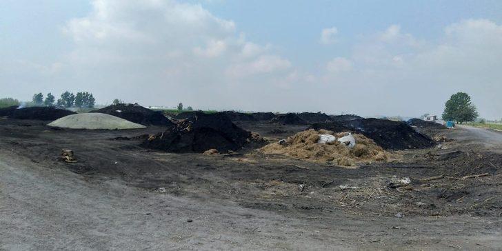 Adana’da ruhsatsız mangal kömürü üretimine son verildi G2