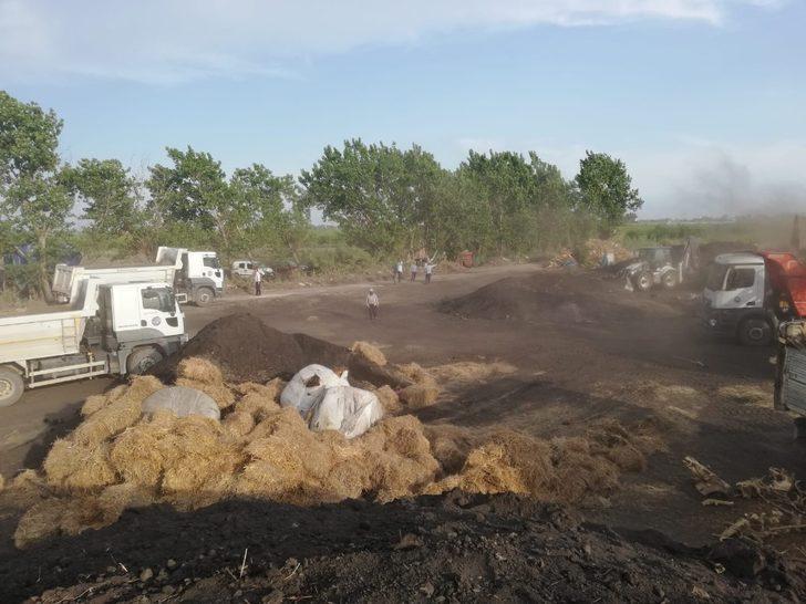 Adana’da ruhsatsız mangal kömürü üretimine son verildi G4