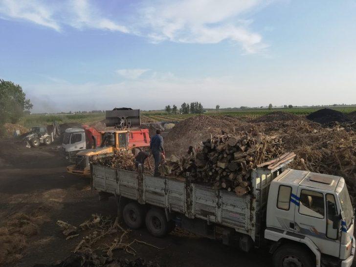 Adana’da ruhsatsız mangal kömürü üretimine son verildi G5