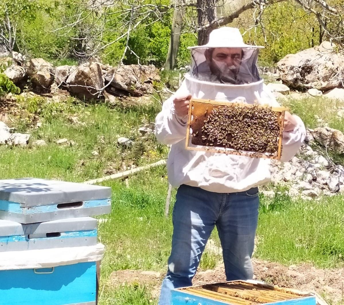Antalya&rsquo;da sıcaklıklar arttı, arılar yaylaya taşındı