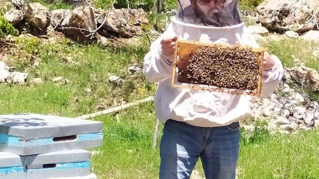 Antalya’da sıcaklıklar arttı, arılar yaylaya taşındı