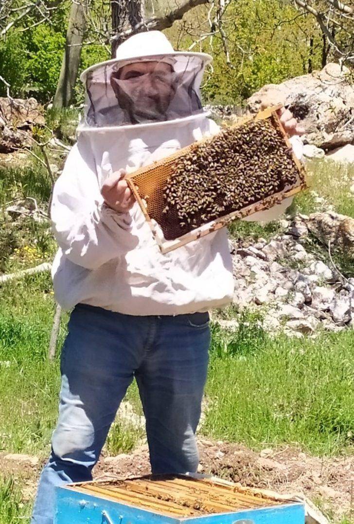 Antalya’da sıcaklıklar arttı, arılar yaylaya taşındı G2