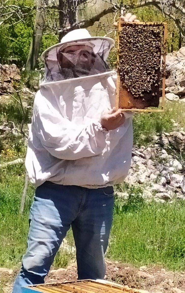 Antalya’da sıcaklıklar arttı, arılar yaylaya taşındı G3