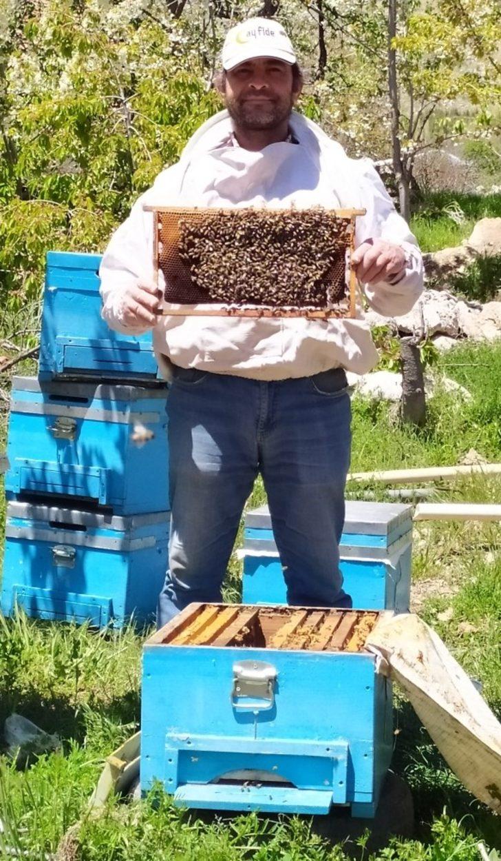 Antalya’da sıcaklıklar arttı, arılar yaylaya taşındı G4