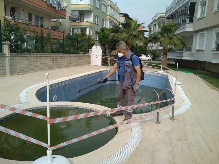 Antalya’da personel ordusu sinek ve haşereyle mücadele ediyor G2