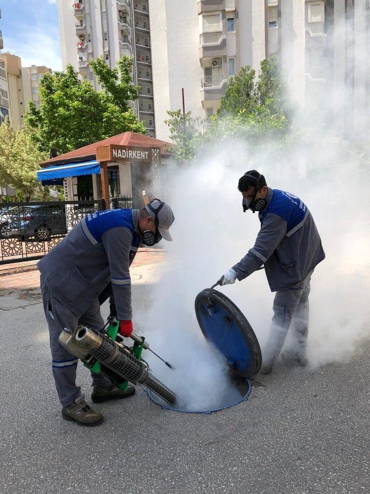 Antalya’da personel ordusu sinek ve haşereyle mücadele ediyor G3
