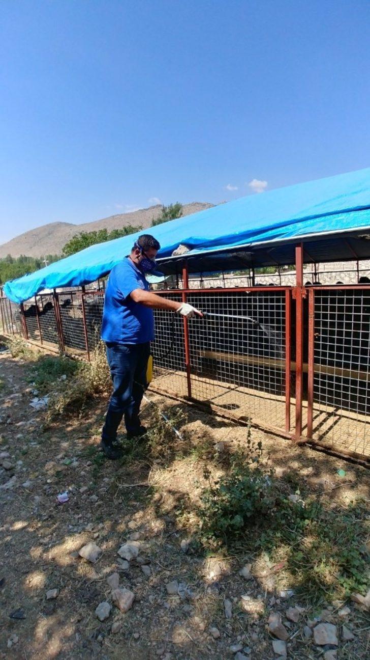 Antalya’da personel ordusu sinek ve haşereyle mücadele ediyor G5