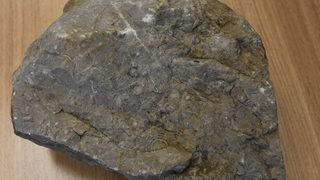 Doğa yürüyüşü yaparken buldu! Tam 40 milyon yıllık