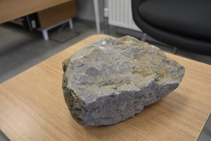 Doğa yürüyüşü yaparken buldu! Tam 40 milyon yıllık G4