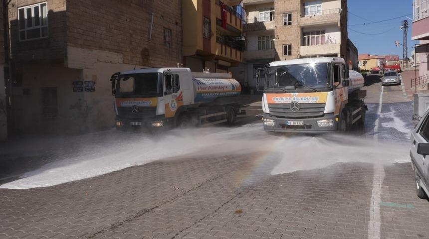 Haliliye&rsquo;de salgınla m&uuml;cadele s&uuml;r&uuml;yor