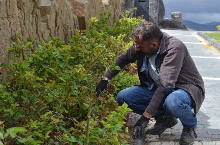 Bünyan’da yeşil alanlar ve parklarda çalışmalar devam ediyor G1