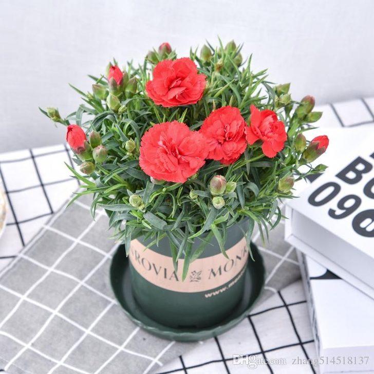 Annelere 10 bin çiçek hediye edilecek G3