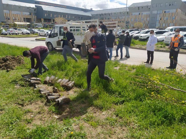 Gürpınar Belediyesinden “Bu Benim Fidanım” projesine destek G1
