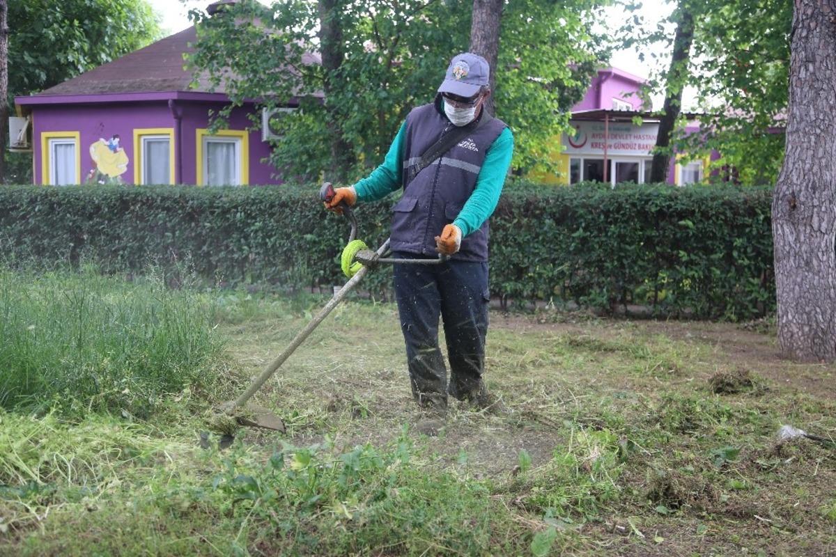 Efeler yaza hazırlanıyor