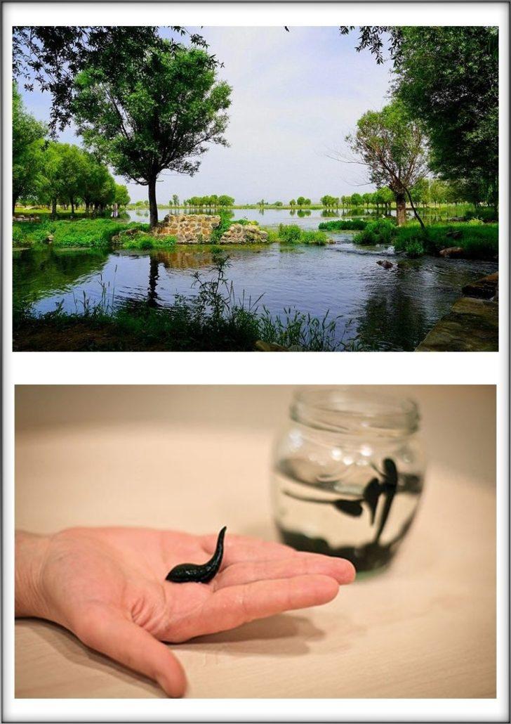 Bakan Yardımcısı Aksu’dan bir müjde de sultan sazlığı çevresine G3