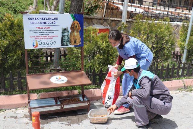 Ürgüp’te Sokak hayvanları için beslenme odakları oluşturuldu